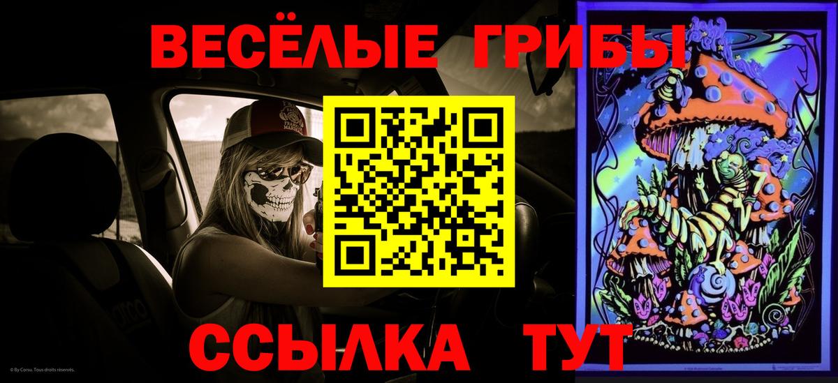 Псилоцибиновые грибы прущие грибы Озёрск