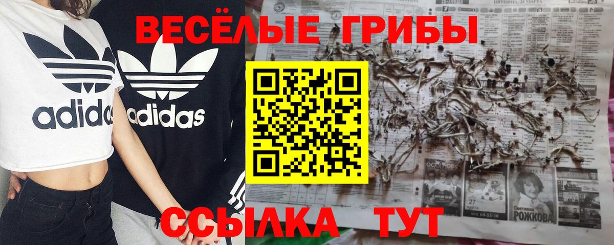 Псилоцибиновые грибы мухоморы  Галлюциногенные грибы MAGIC MUSHROOMS  Вход с VPN  Озёрск 